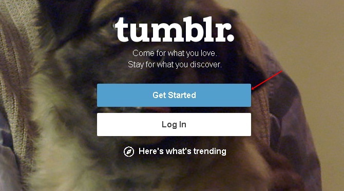 Tumblr Get Started